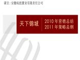 世联_安徽合肥天下锦城别墅项目营销策略总纲 销售推广方案图片1