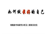 北京棕榈泉别墅项目市场研究分析及二期定位报告PPT图片1