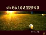 伟业-北京CBD高尔夫球场别墅项目全程营销策略PPT图片1