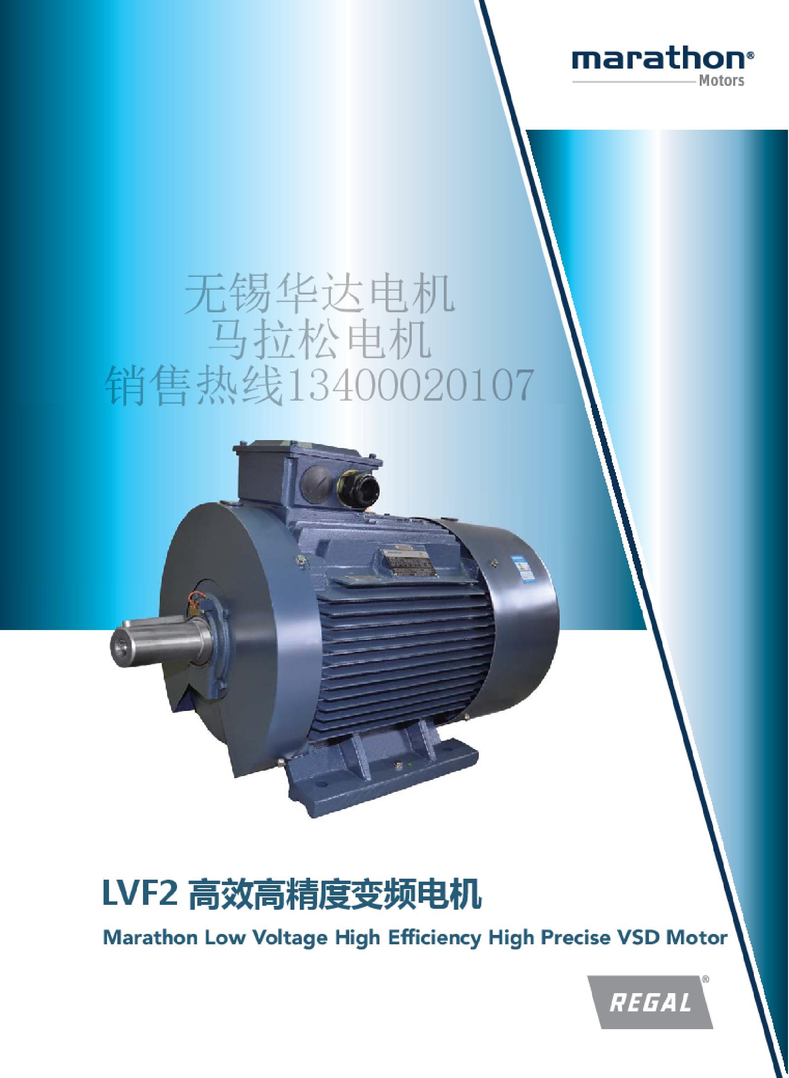 无锡华达电机有限公司马拉松电机LVF2变频电机IE2