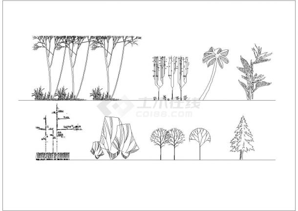 某园林景观建筑植物绿化cad设计完整立面图库-图一
