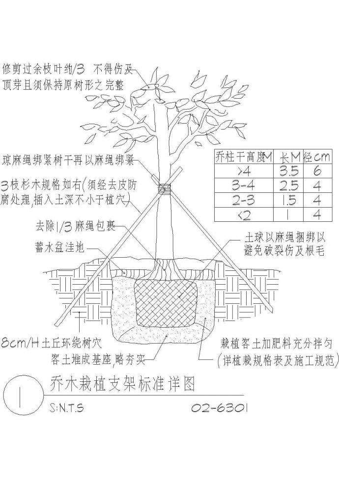 乔木栽植支架标准设计CAD图_图1