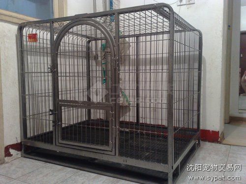 动物隔离网，宠物笼子
