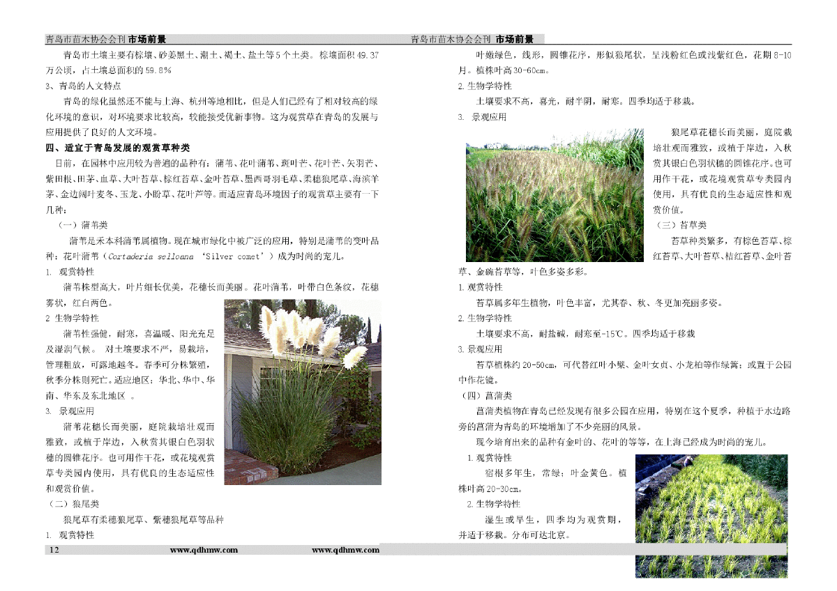 观赏草在青岛的应用和发展-图二
