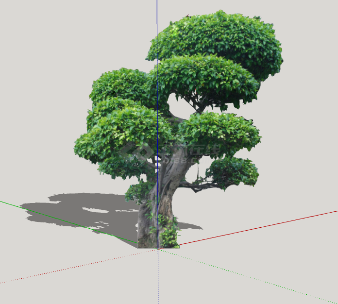 别致2D造型景观树组合 su模型-图二