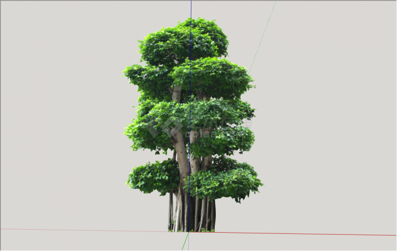 现代2D优美造型树景观树su模型-图一