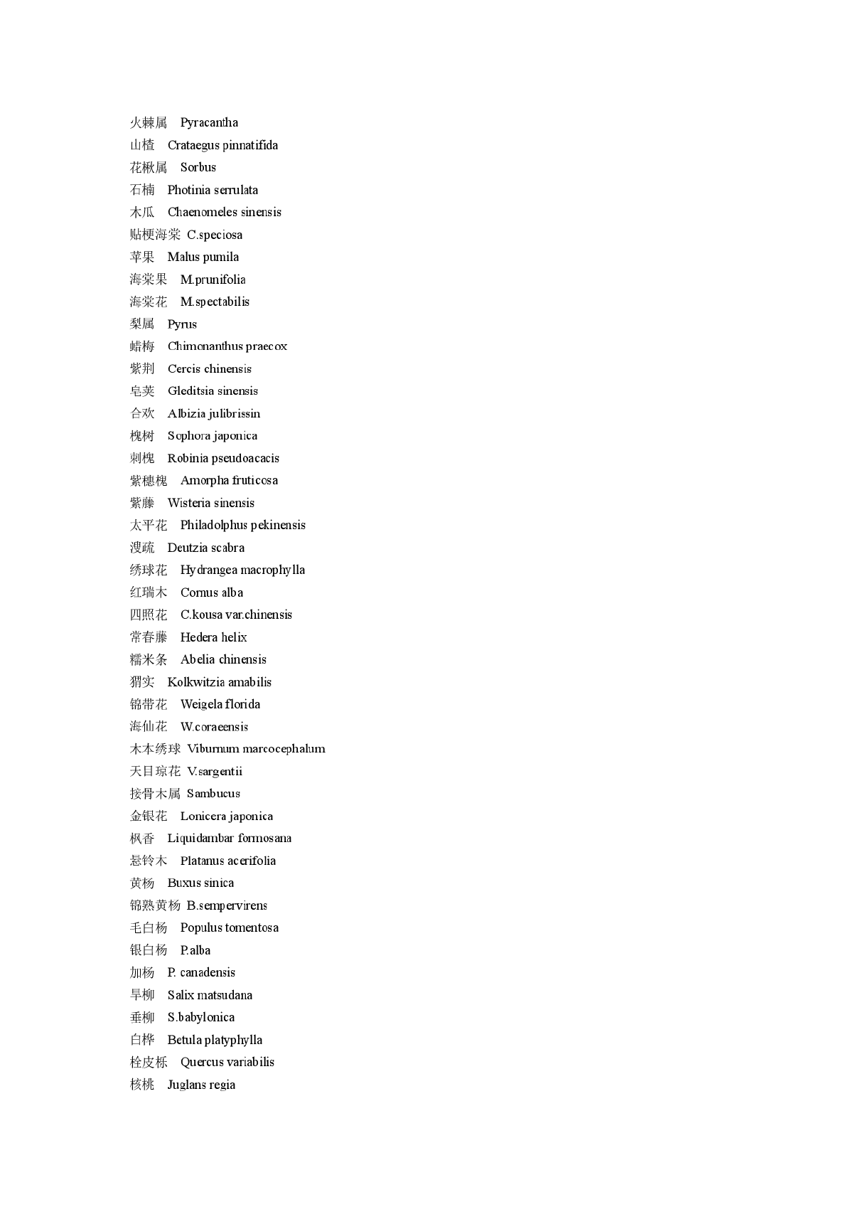 常用园林观赏树木拉丁名150个-图二