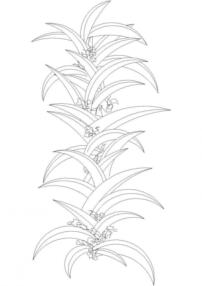 多种植物CAD图_图1