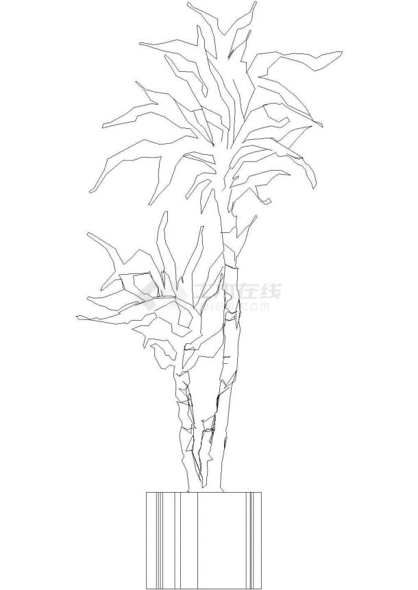 多种植物CAD图-图二