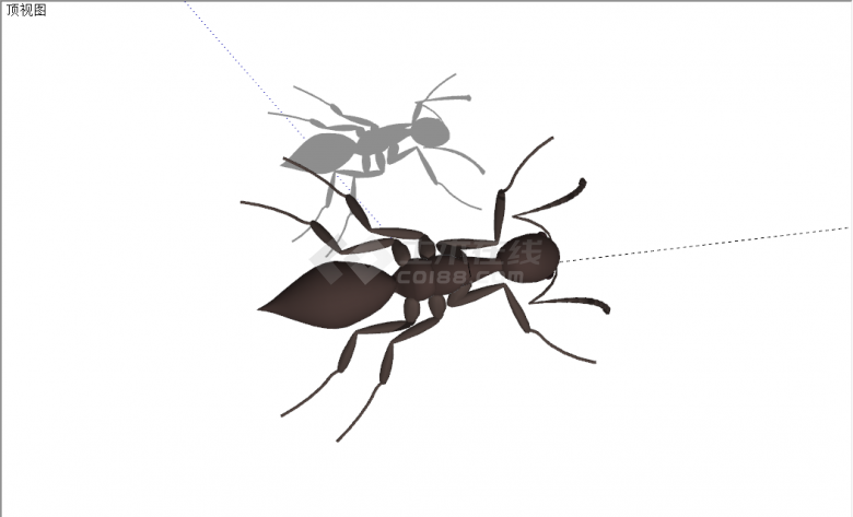 现代精致逼真动物蚂蚁su模型-图二