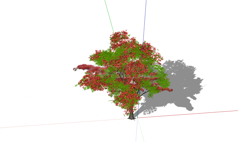 现代红绿夹杂枫树su模型-图二