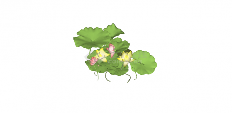 粉黄色荷花和荷叶睡莲su模型-图一