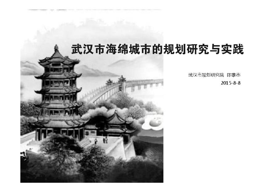 武汉市-海绵城市的规划与实践.pdf-图一