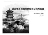 武汉市-海绵城市的规划与实践.pdf图片1
