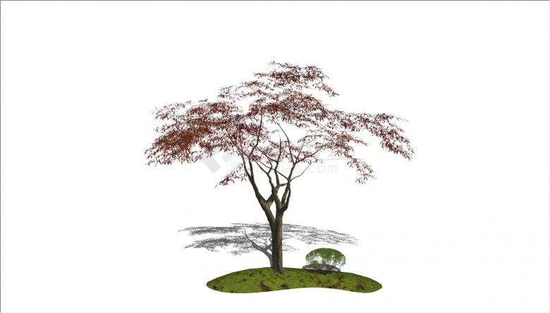 新中式小叶细高景观树su模型-图一