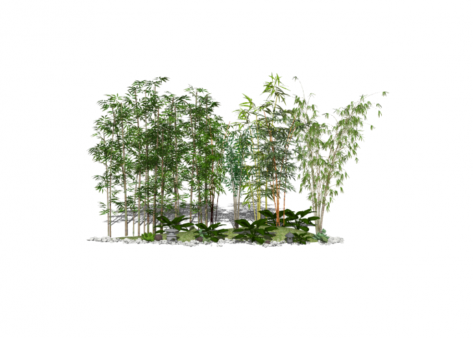 竹林风新中式景观树su模型_图1