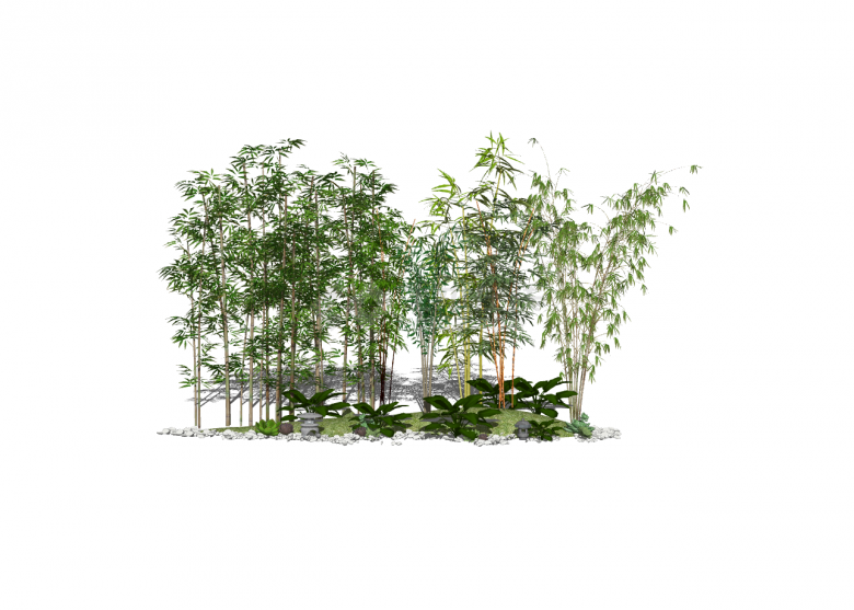 竹林风新中式景观树su模型-图一