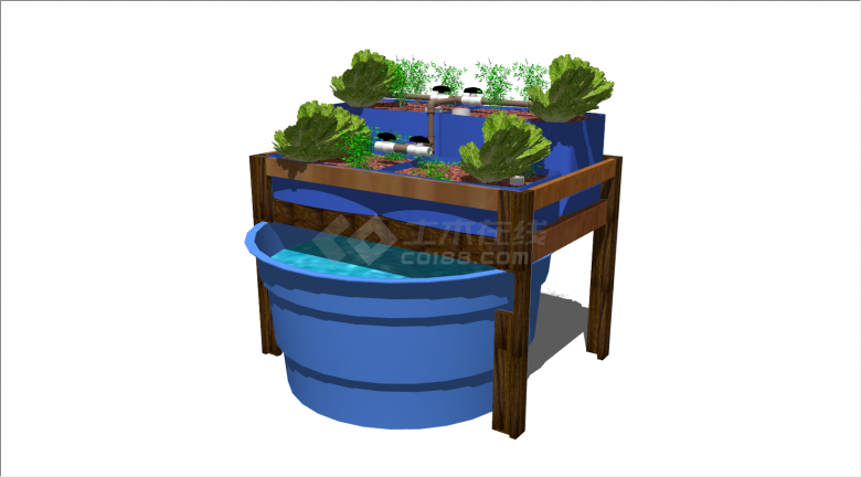 蓝色水桶鱼菜共养共生蔬菜养殖su模型-图二
