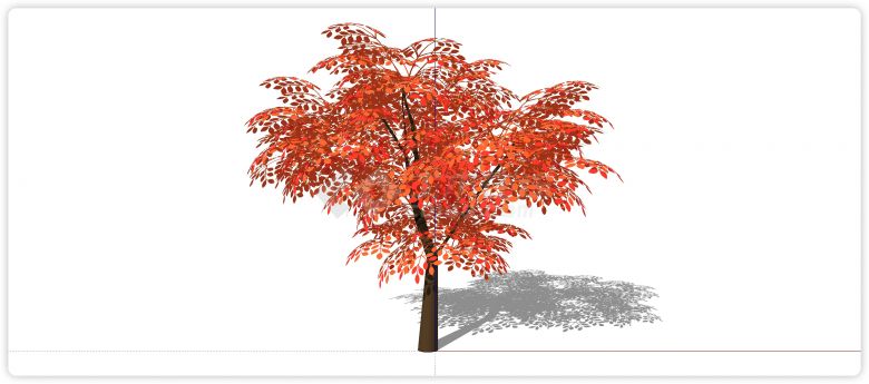 橙红色伞型3d有色叶树木su模型-图一