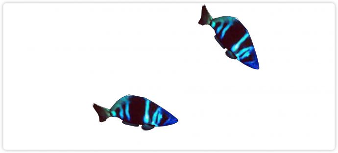 夜光蓝色水族馆鱼类动物组合su模型_图1