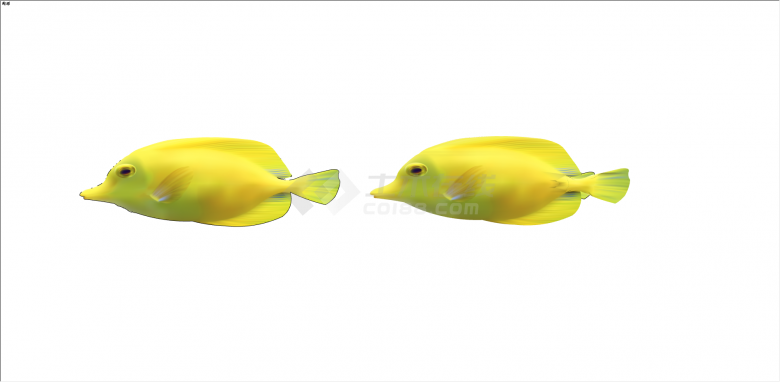 水族馆三只黄色鱼类su模型-图一