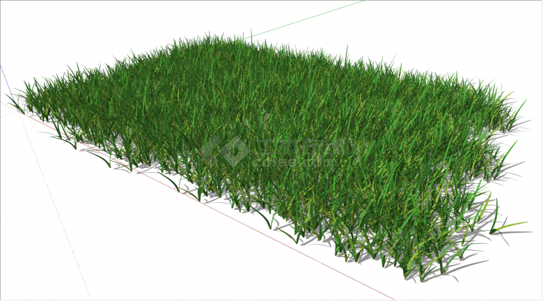 带有青绿色的草坪植物的花草su模型-图二