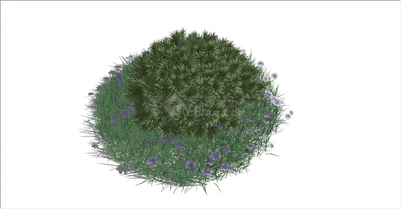 优雅恬静的植物草花su模型-图二