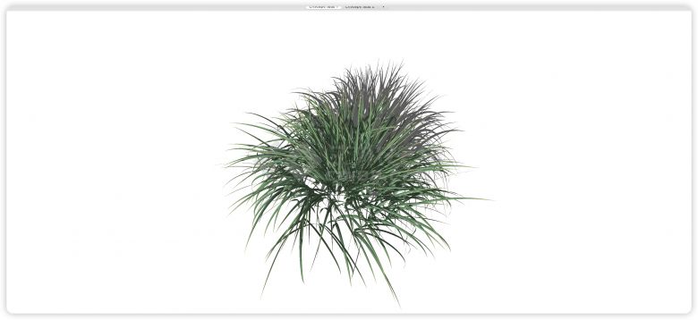 茂密生机勃勃绿色草丛水生植物su模型-图二