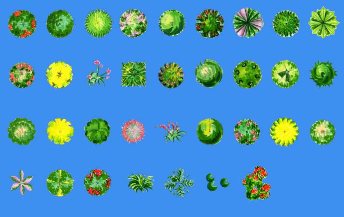 植物平面素材彩平图_图1