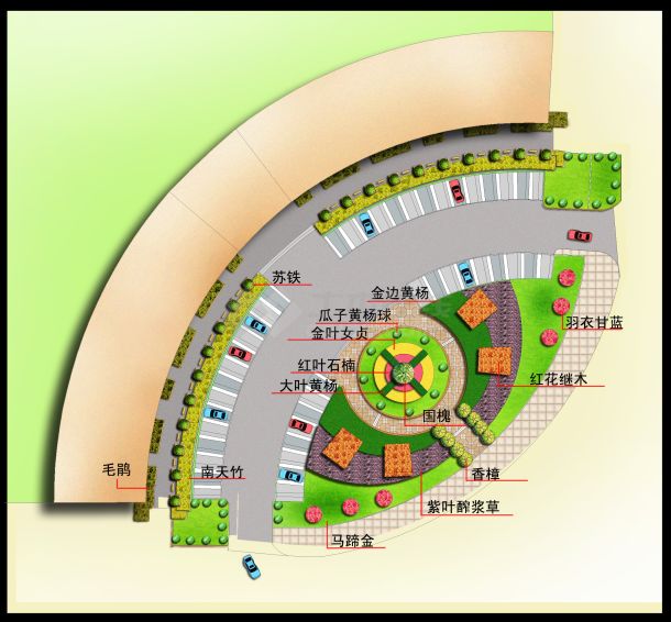 小广场植物配置彩平图-图一