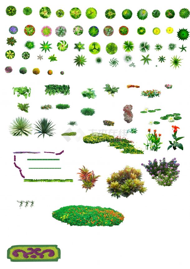 亭子及常用植物彩色图例-图二