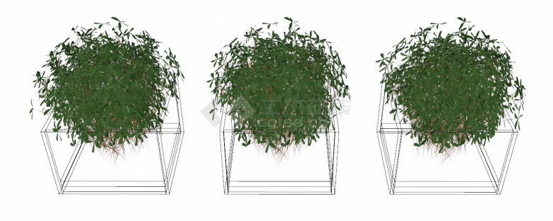 方形透明玻璃花盆带有大朵绿植的花架花墙 su模型-图二