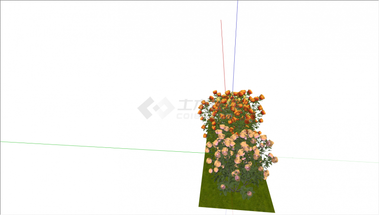  三色月季花景观植物su模型-图二
