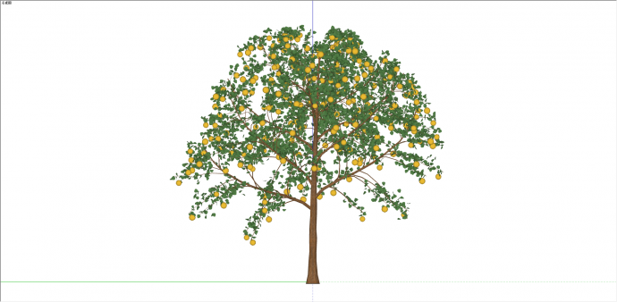 现代多柠檬单棵果树su模型_图1