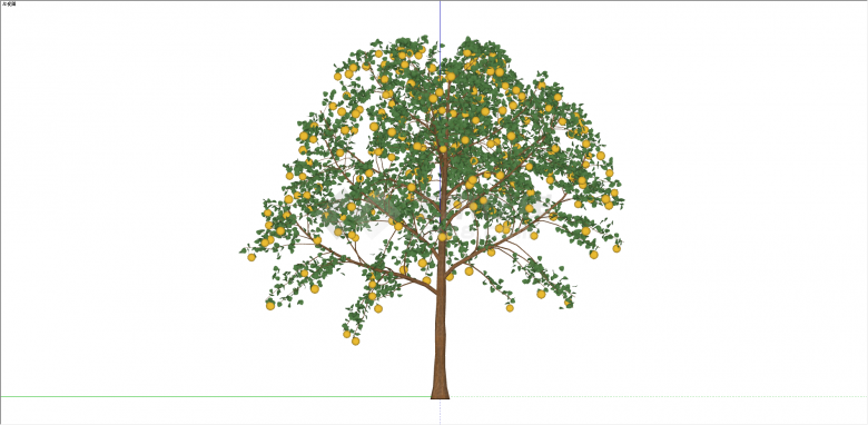 现代多柠檬单棵果树su模型-图一