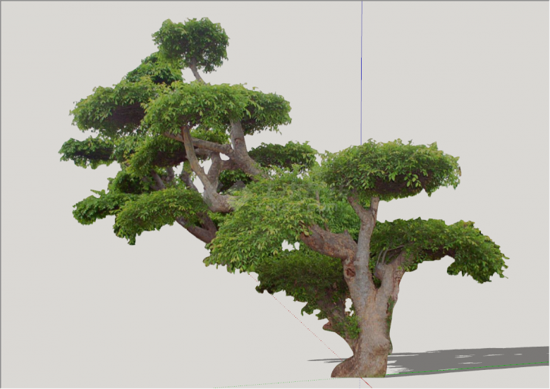 现代景色造型景观树su模型-图二