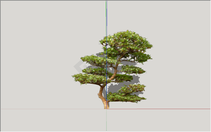 现代绿色树木景观树装饰su模型-图二
