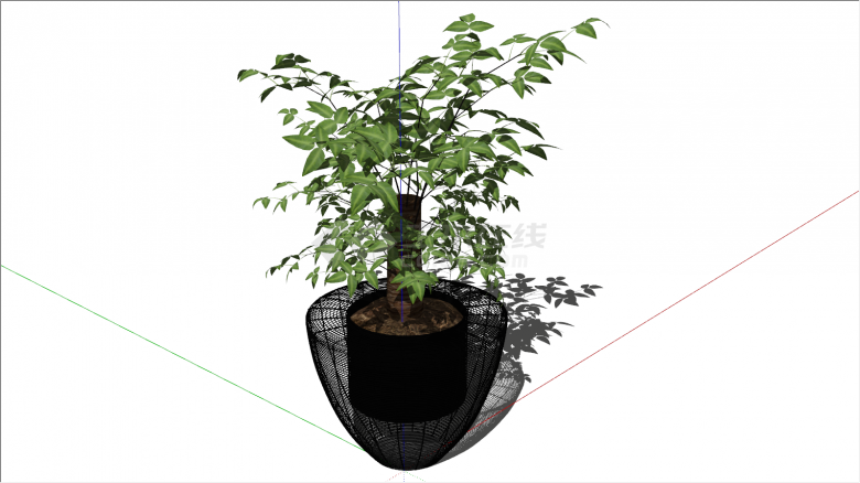 黑色带网罩半椭圆绿植盆栽su模型-图二