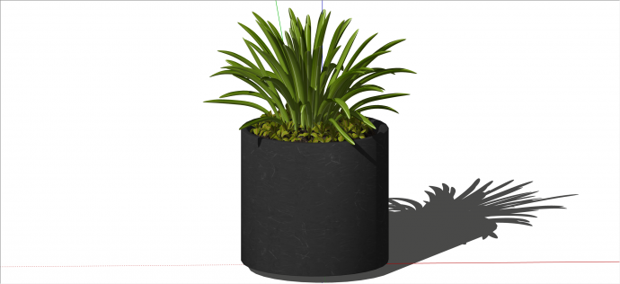 现代黑色小型绿植盆栽su模型_图1