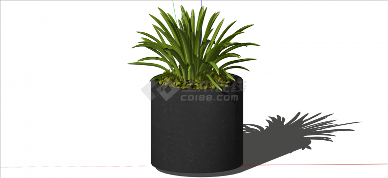 现代黑色小型绿植盆栽su模型-图一