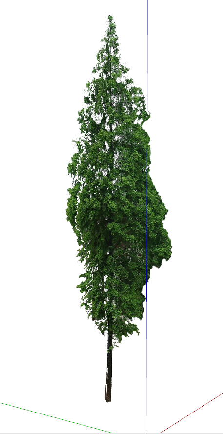 细长高大的绿色植物su模型-图二