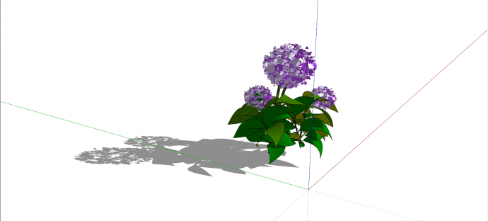 球形紫丁香花卉灌木su模型_图1