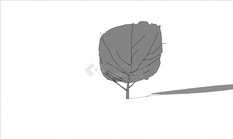 高大黑白景观树植物小品su模型-图二