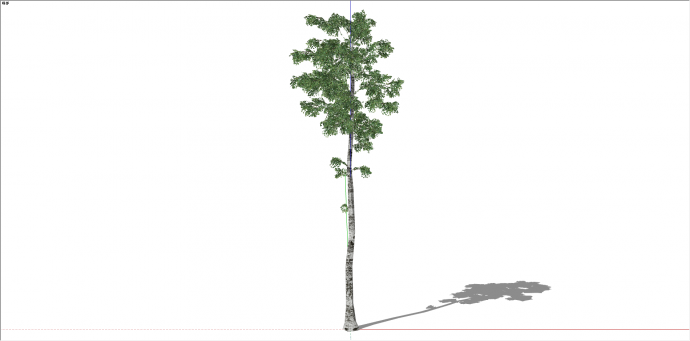 单棵庭院观赏性乔木树su模型_图1