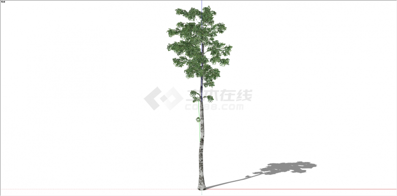 单棵庭院观赏性乔木树su模型-图一