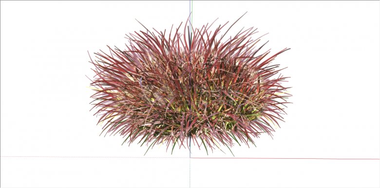 红色可观赏性植物su模型-图二