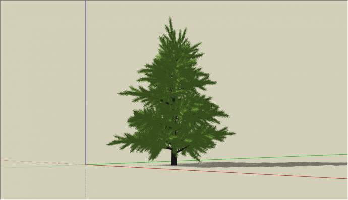 城市路边常绿松树乔木的SU模型_图1