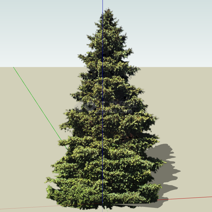 一年四季常绿的造型树su模型-图一