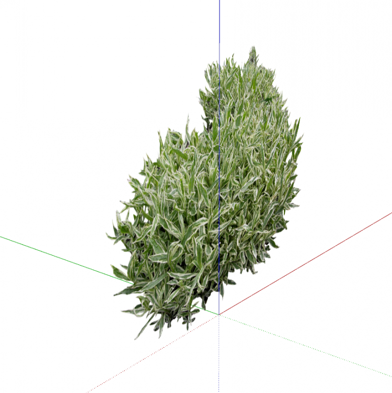 绿叶成荫的景观草丛su模型-图二