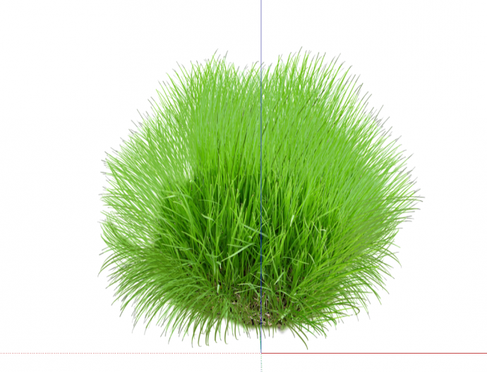 欣欣向荣的绿色草丛su模型_图1